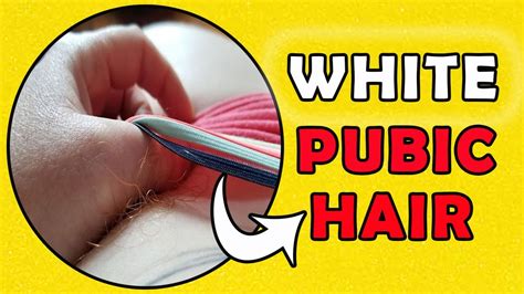 do pubic hairs go gray|White pubic hair: Possible causes .